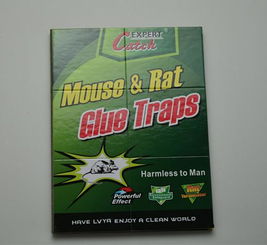 高效環(huán)保，廠家直銷——義烏綠亞環(huán)保粘鼠膠系列產(chǎn)品