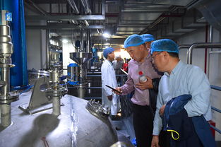 上海蜂花智能工廠投產(chǎn)，4億元投資驅(qū)動產(chǎn)業(yè)升級與互聯(lián)網(wǎng)銷售新布局